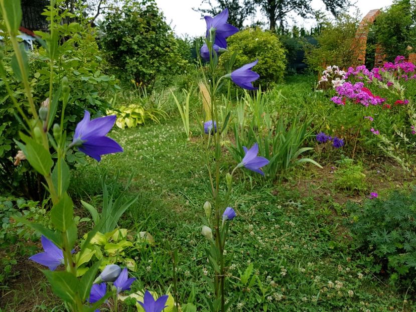  - 2020 Vara_Idilic Garden