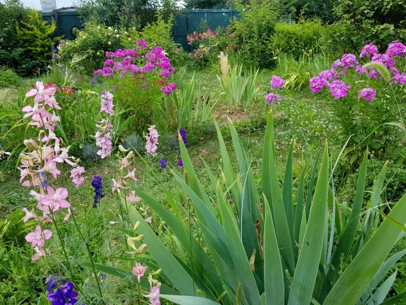  - 2020 Vara_Idilic Garden