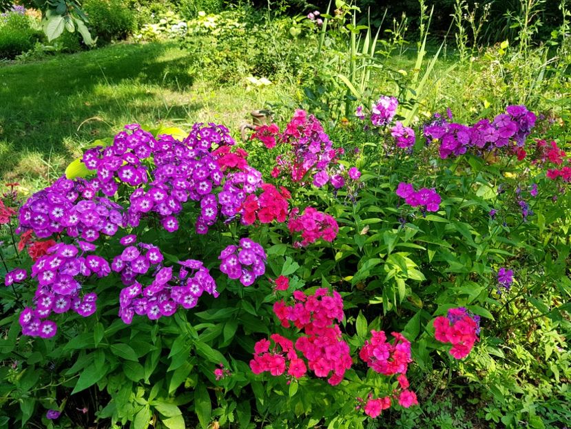  - 2020 Vara_Idilic Garden