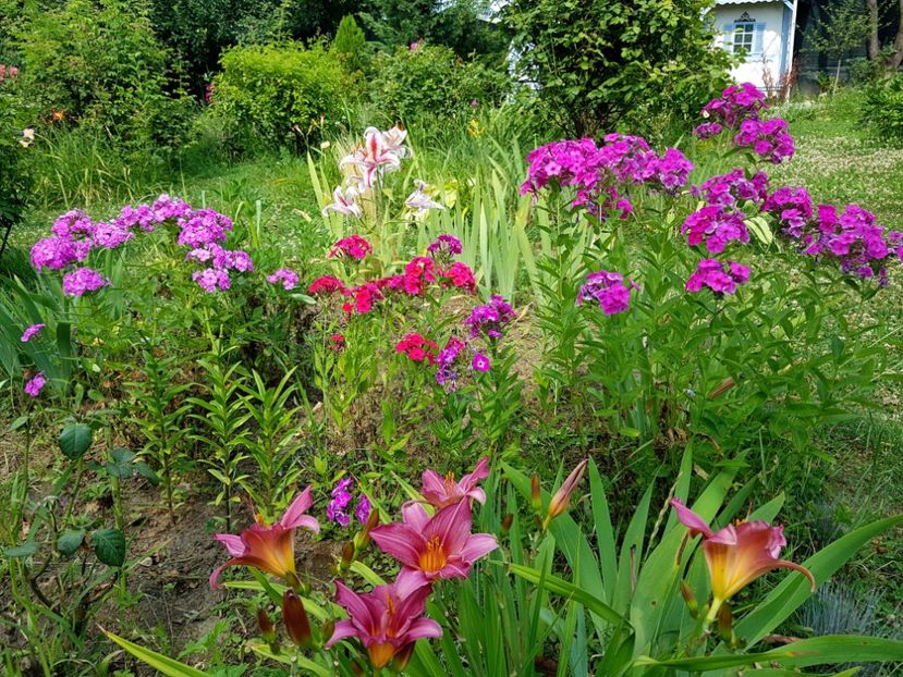  - 2020 Vara_Idilic Garden