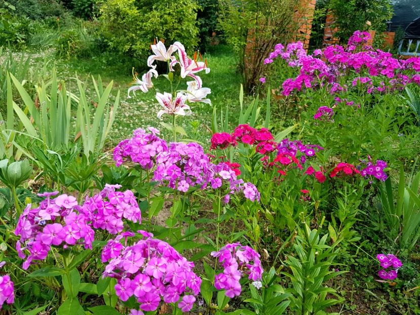  - 2020 Vara_Idilic Garden