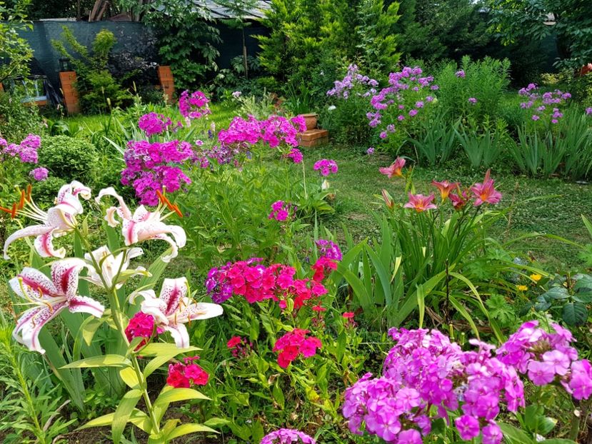  - 2020 Vara_Idilic Garden