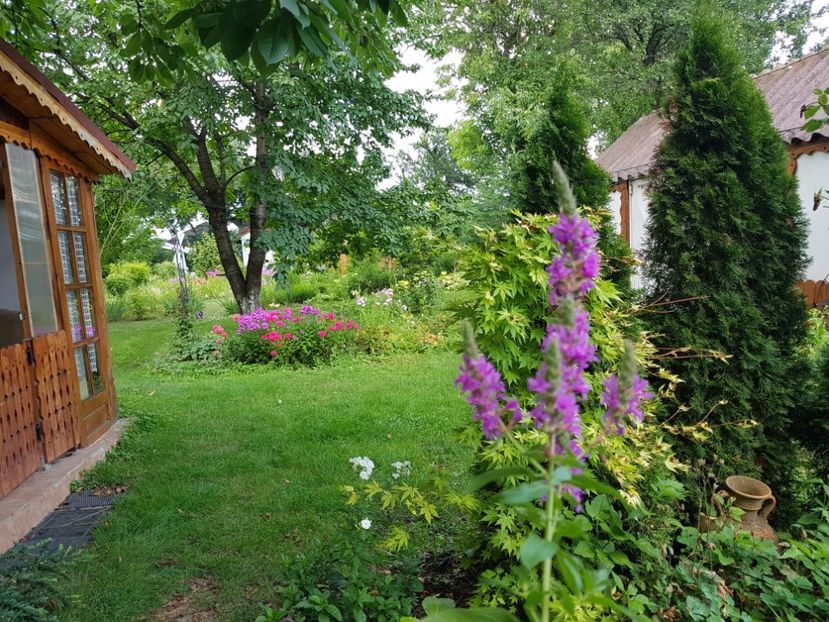  - 2020 Vara_Idilic Garden