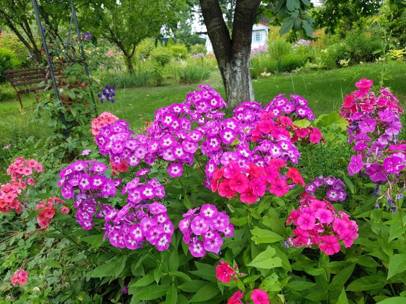  - 2020 Vara_Idilic Garden