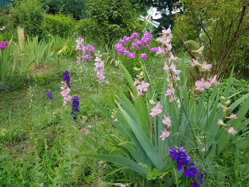  - 2020 Vara_Idilic Garden