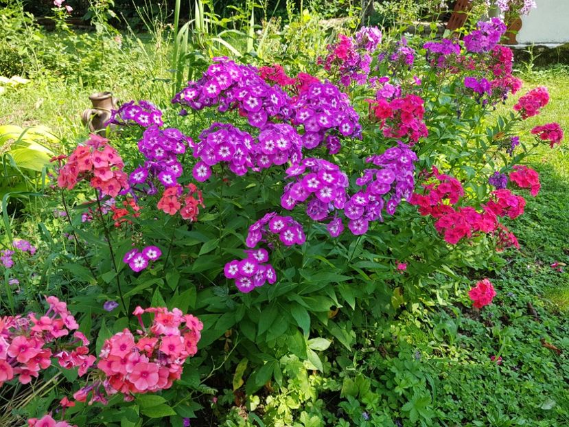  - 2020 Vara_Idilic Garden