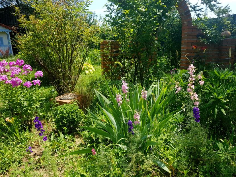  - 2020 Vara_Idilic Garden