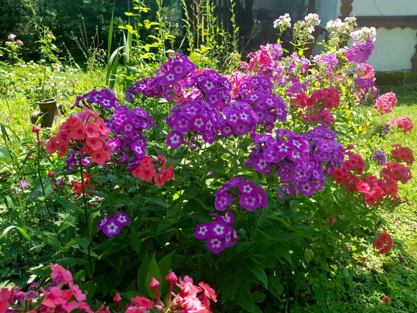  - 2020 Vara_Idilic Garden