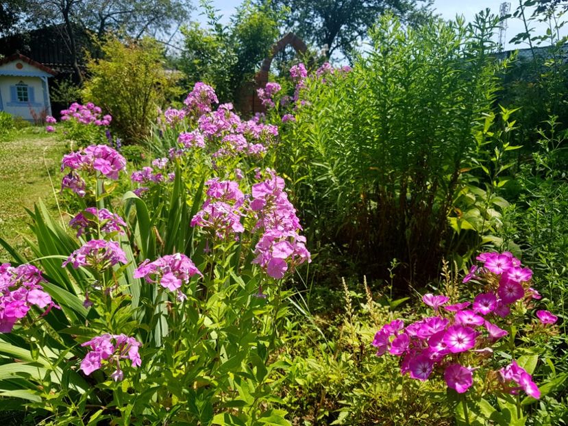  - 2020 Vara_Idilic Garden