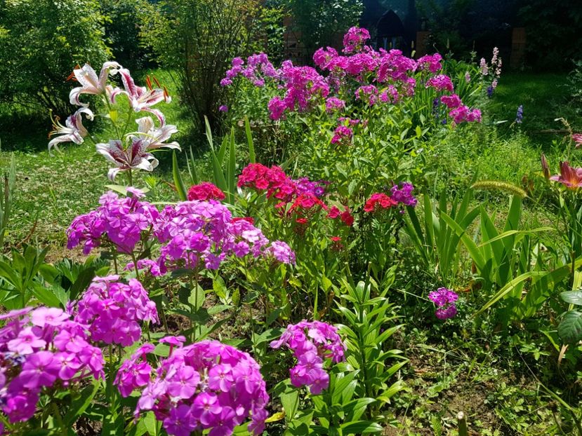  - 2020 Vara_Idilic Garden