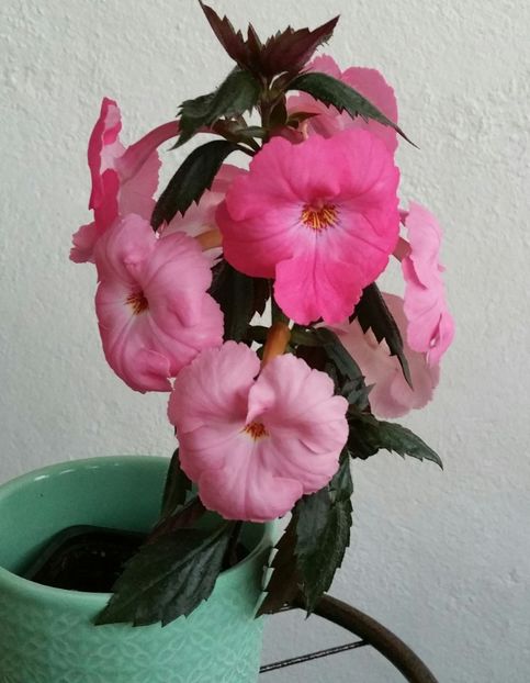 20200716_204410-1 - Madame Bovary