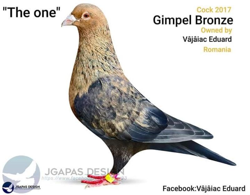  - NU AMI APARTIN 2020