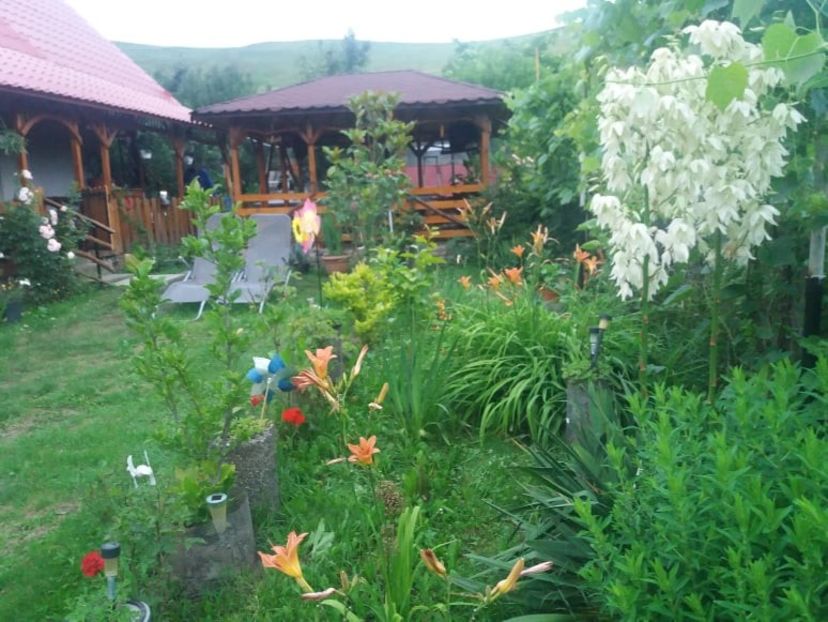  - casuta de la tara 2020