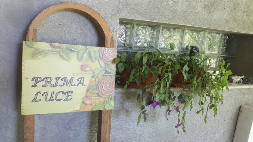 achimenes pink - Gradina si terasa PrimaLuce_7-Hello 2020