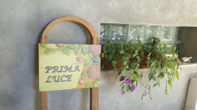 achimenes pink - Gradina si terasa PrimaLuce_7-Hello 2020