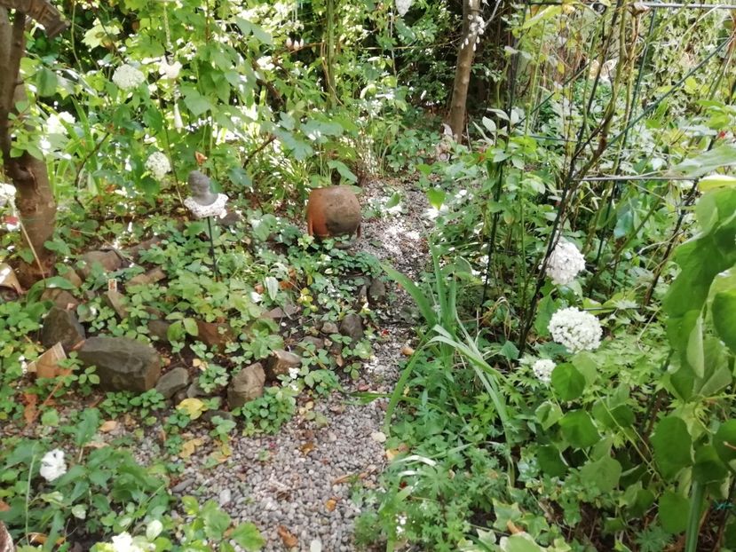 17. 07.2020 - Grădina 2020 continuare 1