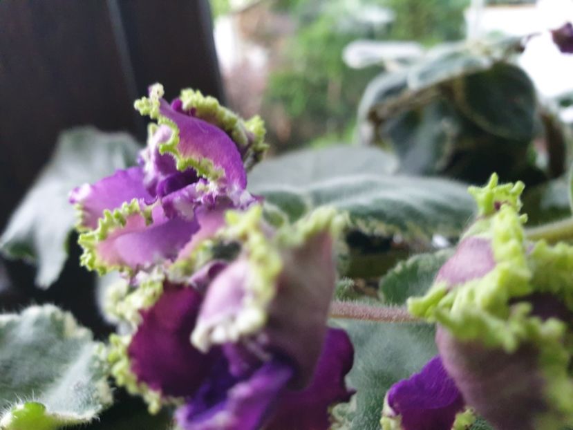  - LE Nochnoe Randevu