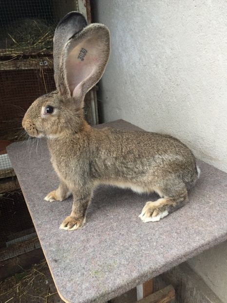 CD0AB984-69C9-4BA2-B3D4-37BCFFB39B7D - RO 8-3030