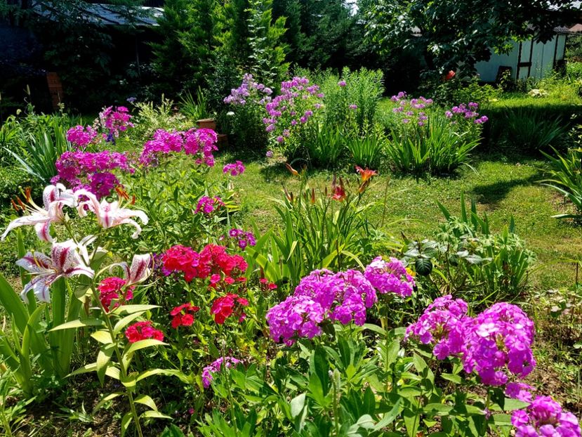  - 2020 Vara_Idilic Garden