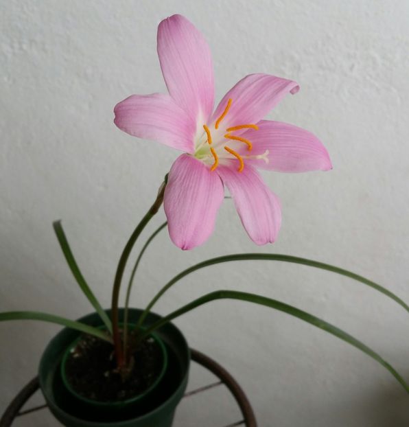 20200718_154438-1 - 2020