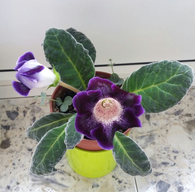 20200718_165900-1 - 2020