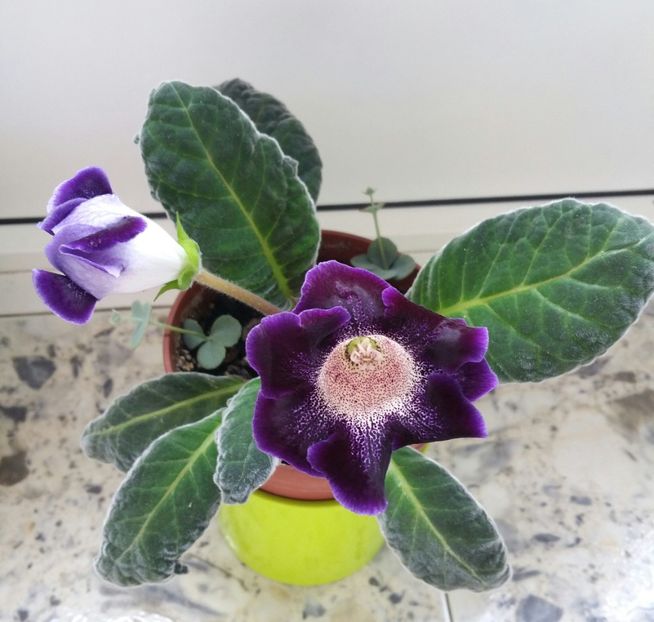 20200718_165905-1 - 2020