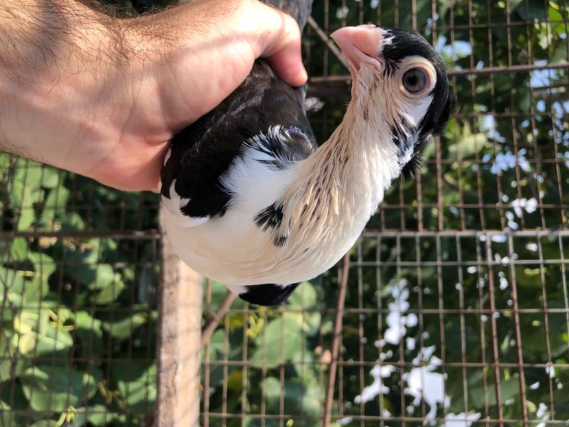 784E1805-D86A-4E9F-8940-A7577F6CC6F8 - Poze noi