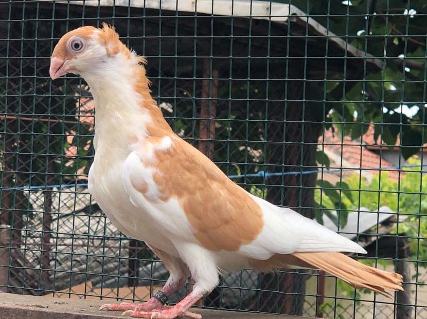 9F437A25-2DF6-410F-83E6-25D9C740B019 - Poze noi