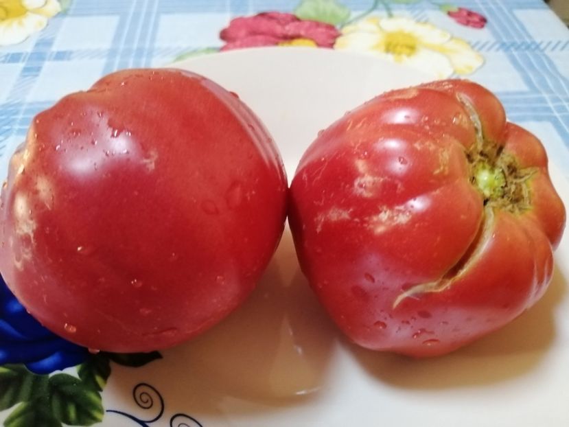  - Gradina cu legume-2017-acasa recolte 2018 - 2023