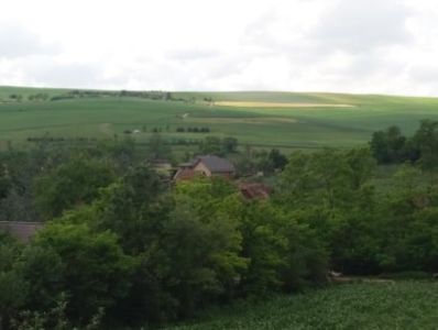 - vara 2020