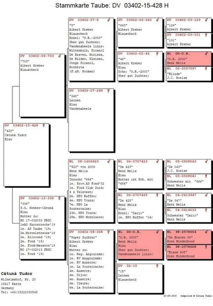 15ped - Porumbei super top 2020 achizitii
