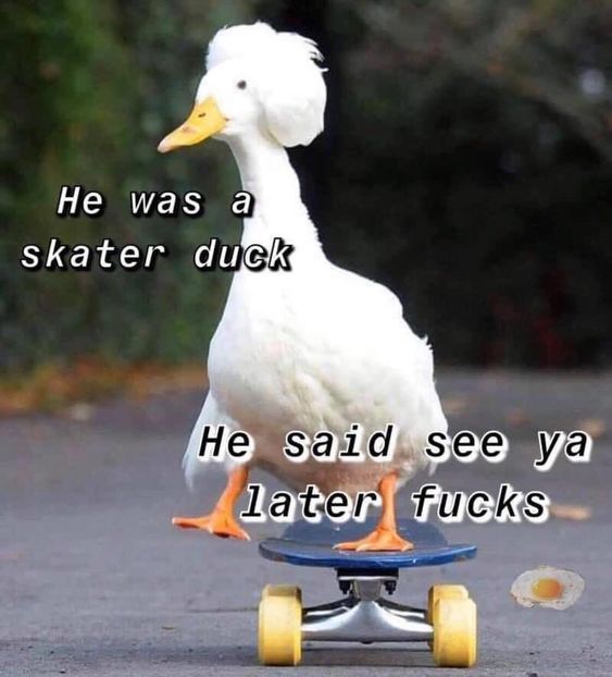 0F2BB010-D8F5-4E72-9850-38043F9A6006 - w i remember the rush