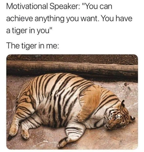 91E716EA-0B16-401A-99CA-F1092B5A32F4 - w i remember the rush