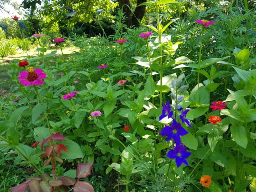  - 2020 Vara_Idilic Garden