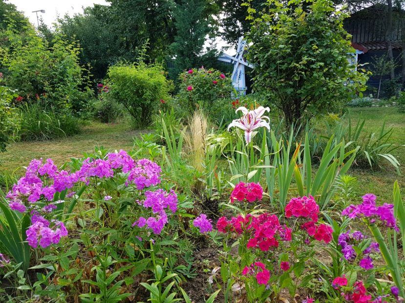  - 2020 Vara_Idilic Garden