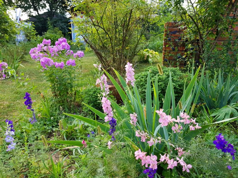  - 2020 Vara_Idilic Garden