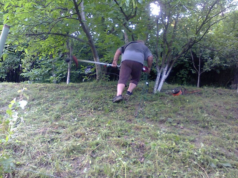 Fotografie5726 - 2020 5 IULIE ANIVERSARE 71 de ani AUREL