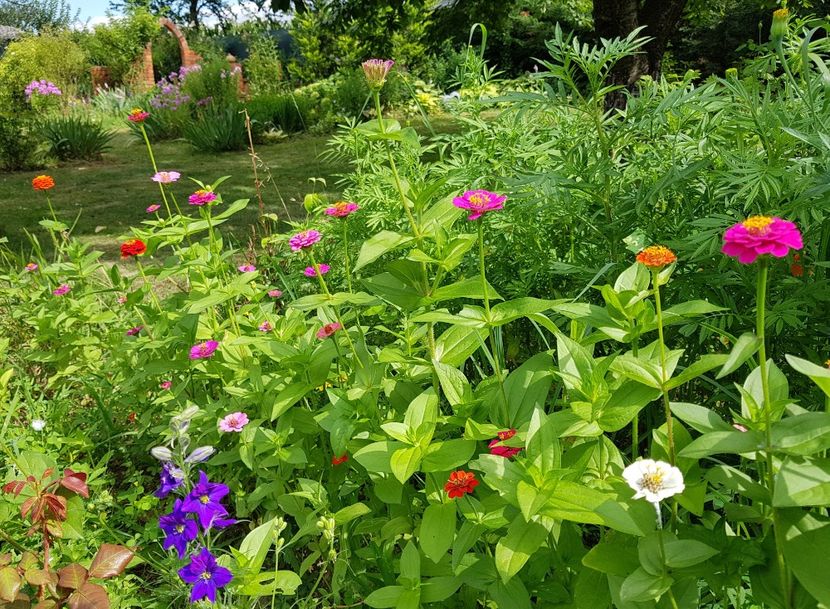  - 2020 Vara_Idilic Garden