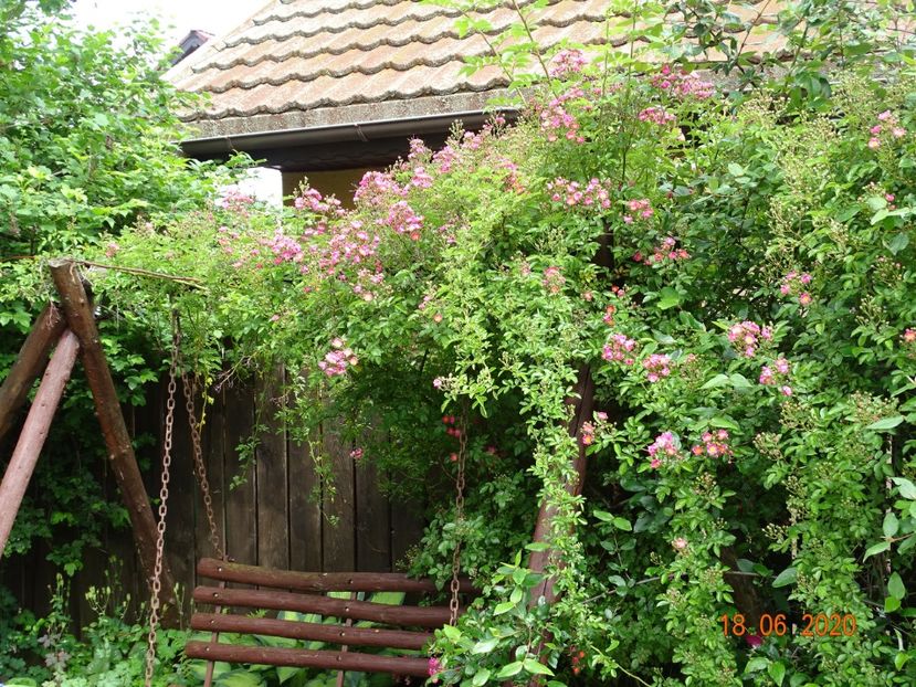  - Gradina 2020