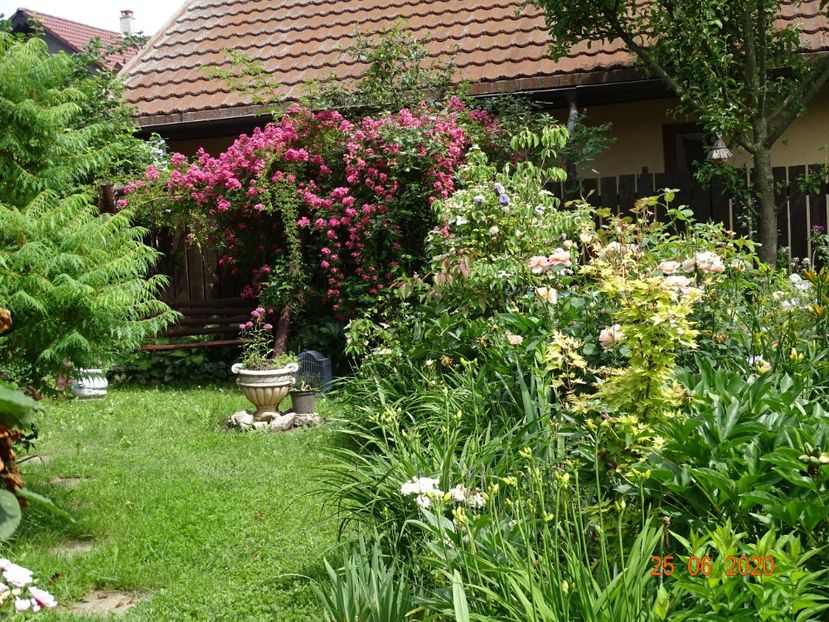  - Gradina 2020