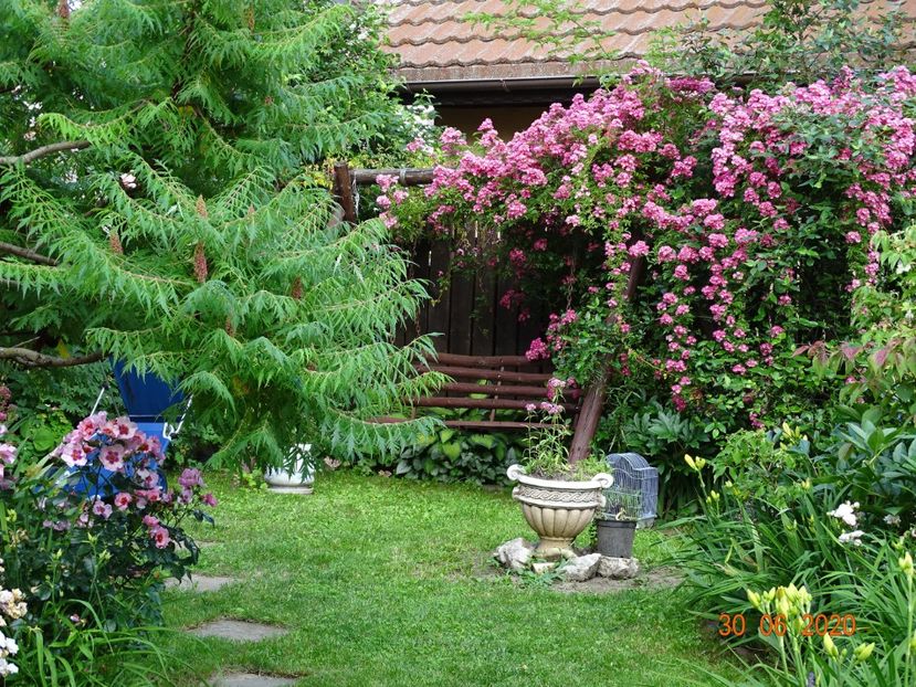  - Gradina 2020