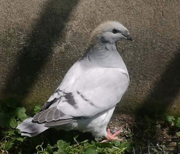 PL20-JRS 24 - g- MLODE-2020 - Youth