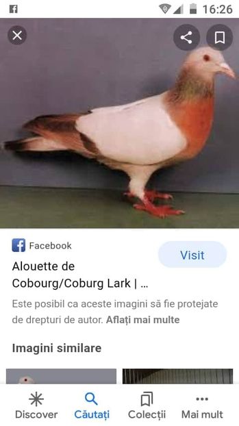  - NU AMI APARTIN 2020