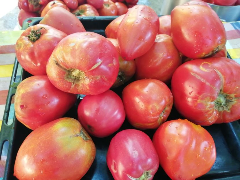  - Gradina cu legume-2017-acasa recolte 2018 - 2023