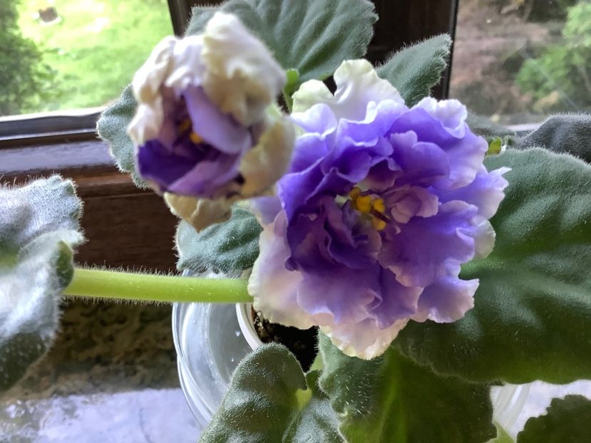 53DBF13A-95C4-46B8-BEFE-FB3668E64DDA - RS Akvamarin