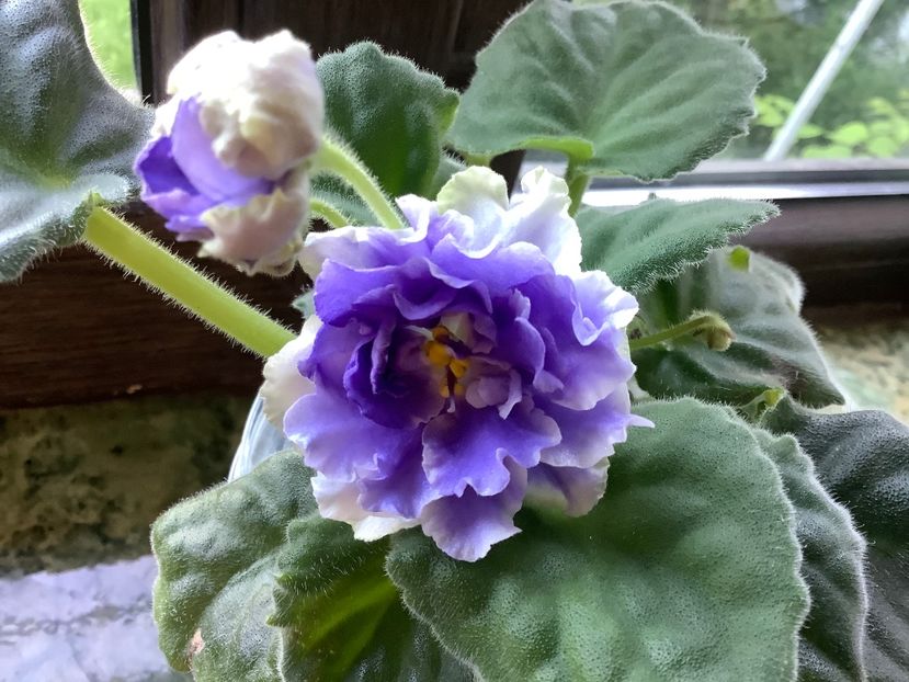 54A0A77E-46F9-4B03-B4B5-D8239C734EDE - RS Akvamarin