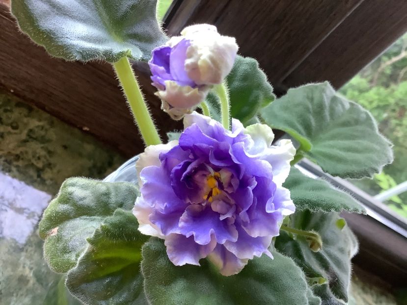 F03323EA-1744-4F8D-BE95-52C2BB4EE912 - RS Akvamarin