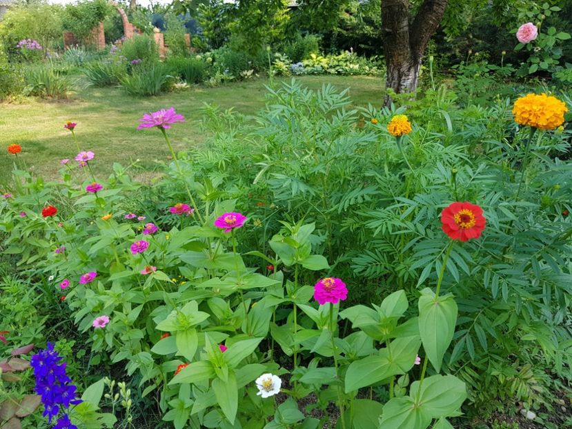  - 2020 Vara_Idilic Garden