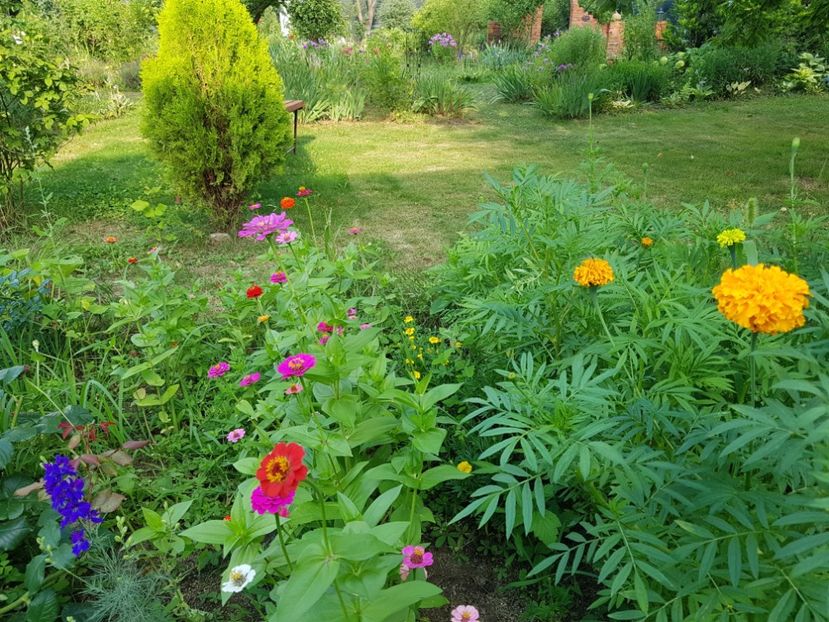  - 2020 Vara_Idilic Garden