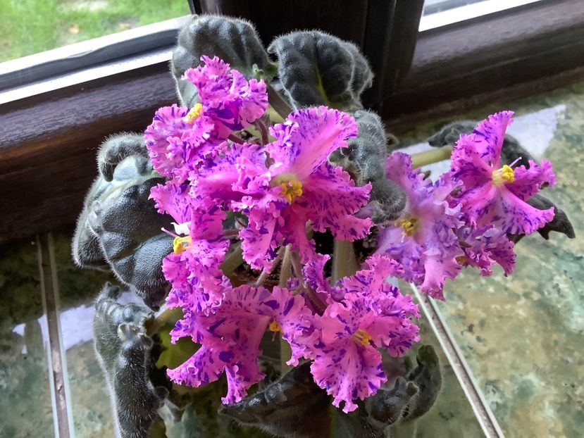 B1712E02-421C-4B29-8A20-E7B17C336CDF - LE Autum Fantasy